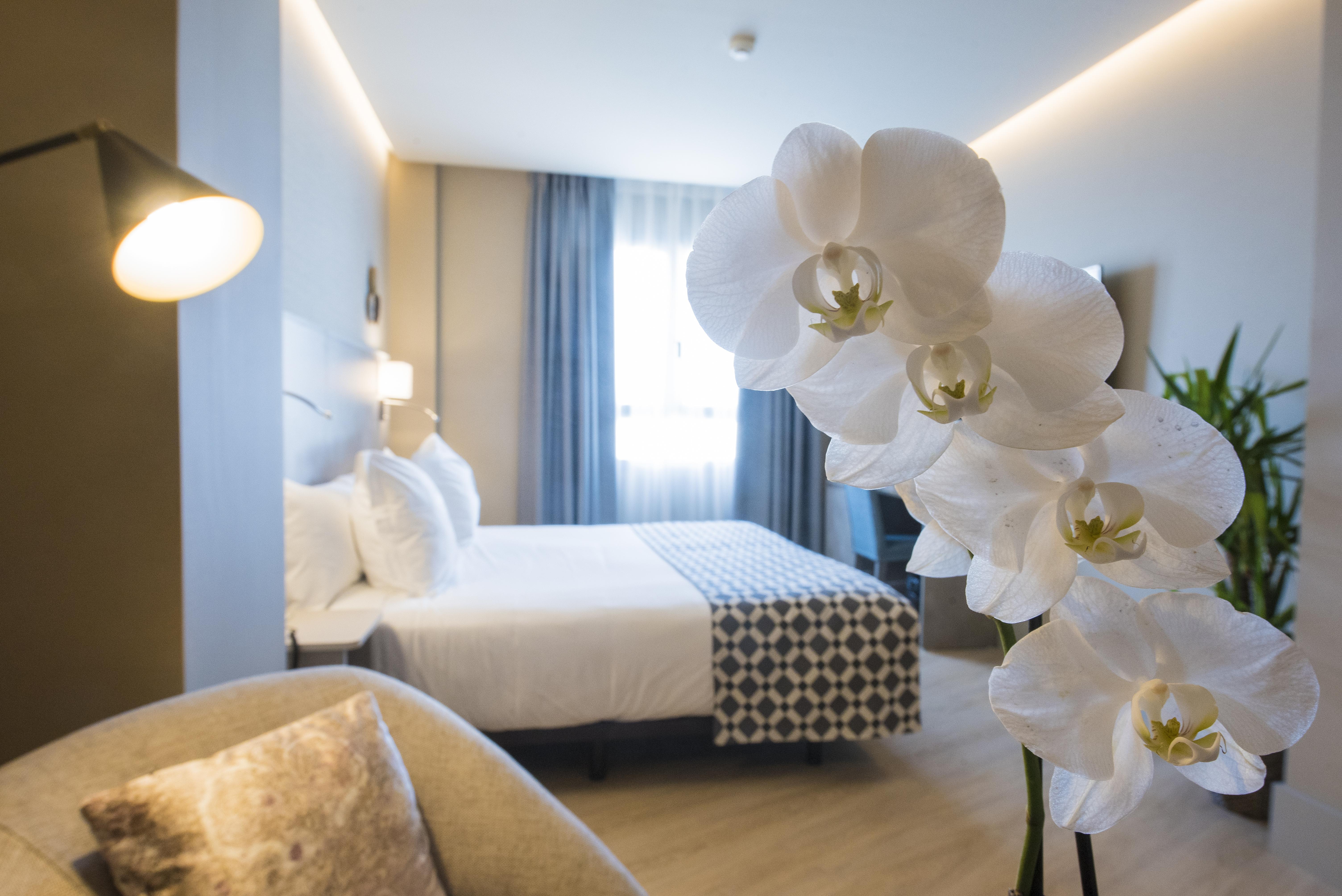 Hotel América Sevilla Esterno foto